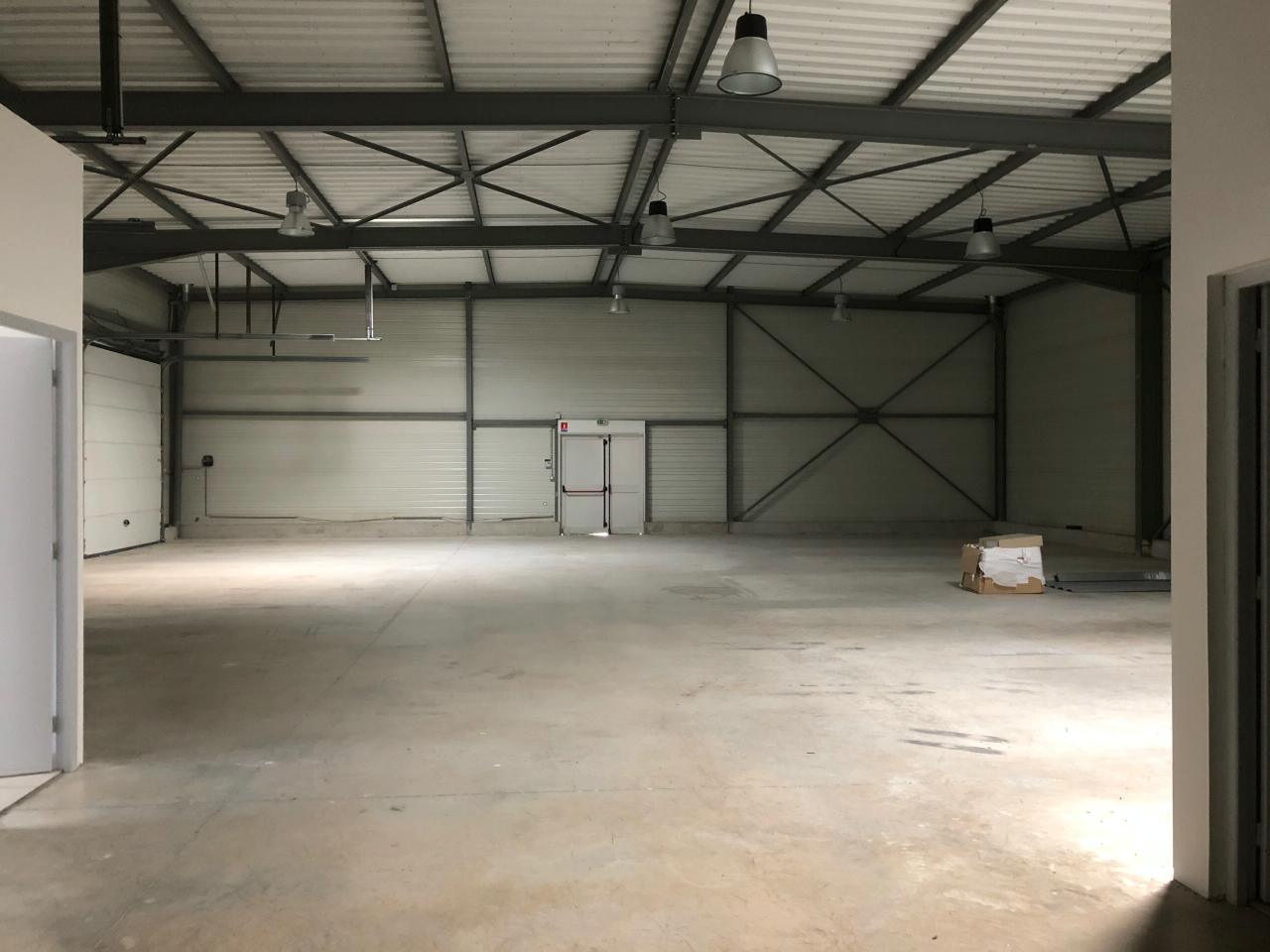 Local d'activité Gallargues-le-Montueux 713m² Location local d'activité Gallargues-le-Montueux Gard OLACT2428578 5